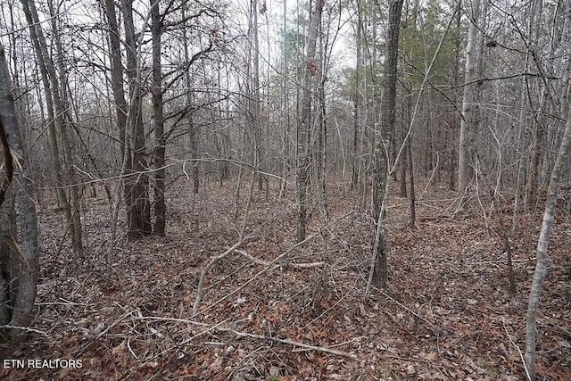 1031 Horseshoe Dr, Spencer, TN 38585 - photo 10