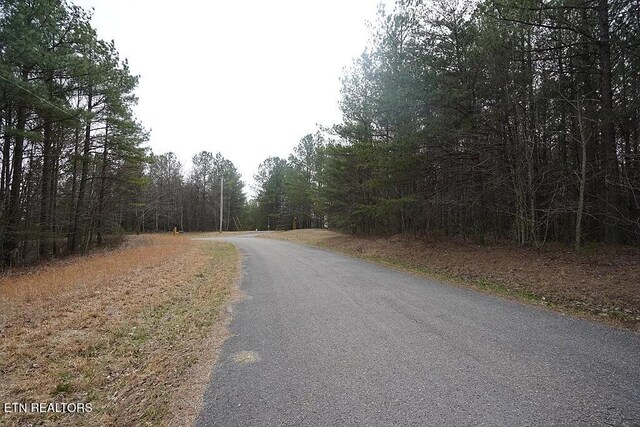 1031 Horseshoe Dr, Spencer, TN 38585 - photo 11