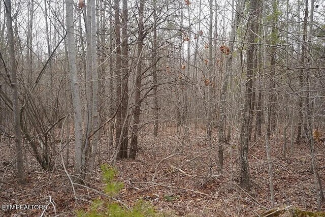 1031 Horseshoe Dr, Spencer, TN 38585 - photo 13