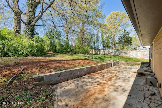 view of yard with a patio area and a fenced backyard