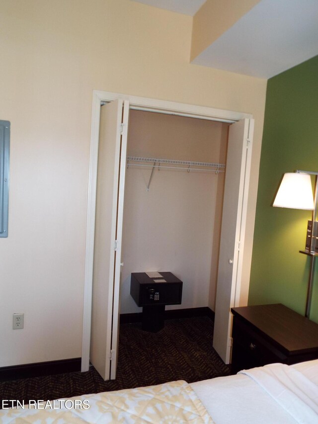 225 Collier Dr, Sevierville, TN 37862 - bedroom with a closet and carpet flooring