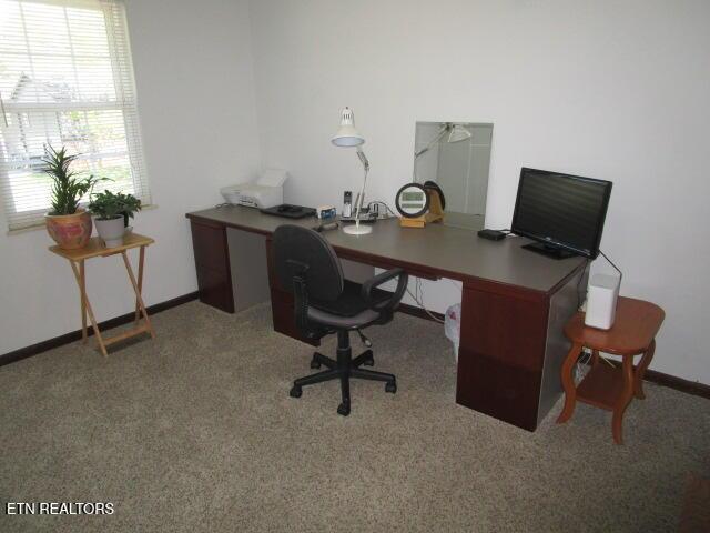 office space with carpet and baseboards
