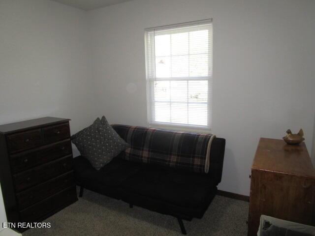 sitting room featuring carpet and a healthy amount of sunlight