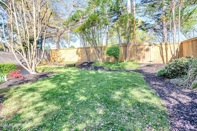 3835 SW Keowee Ave, Knoxville, TN 37919 - view of yard featuring a fenced backyard