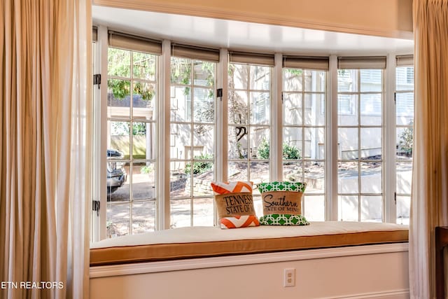 3835 SW Keowee Ave, Knoxville, TN 37919 - doorway with a wealth of natural light