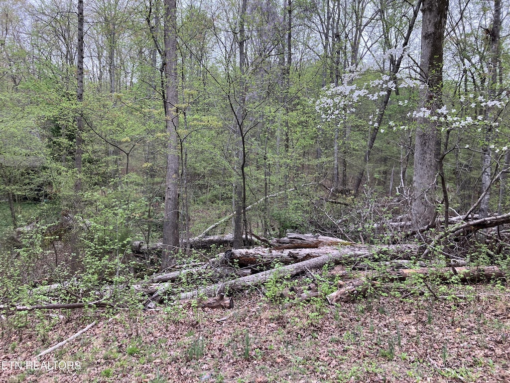 LOT56 Eagle Point Dr, Rockwood, TN 37854 - photo 2
