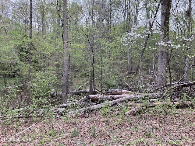 LOT56 Eagle Point Dr, Rockwood, TN 37854 - photo 2