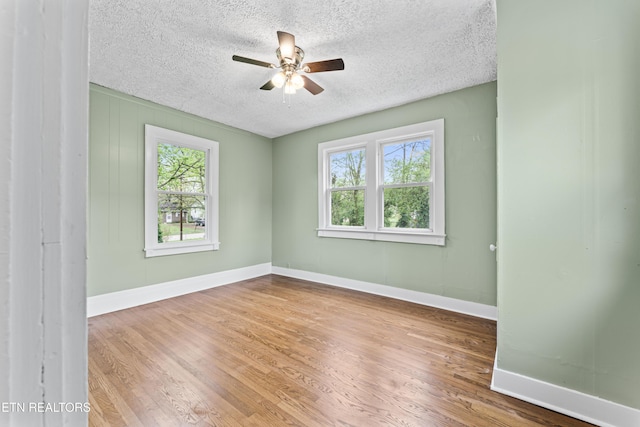 4421 SW Immanuel St, Knoxville, TN 37920 - photo 12