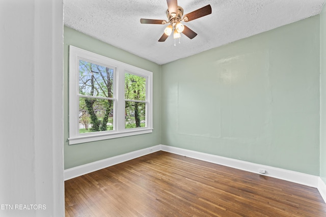 4421 SW Immanuel St, Knoxville, TN 37920 - photo 13