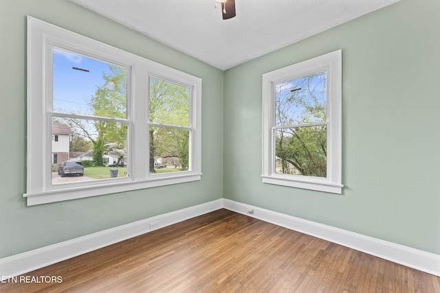 4421 SW Immanuel St, Knoxville, TN 37920 - photo 18