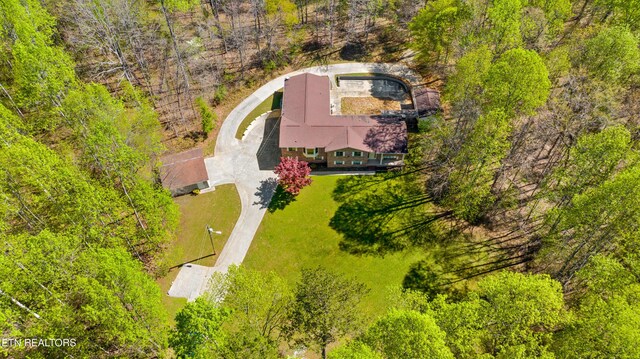 1502 Donna Dr, Lenoir City, TN 37771 - photo 46