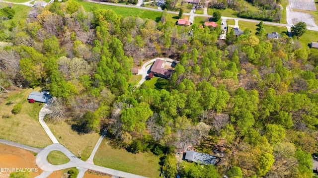 1502 Donna Dr, Lenoir City, TN 37771 - photo 4