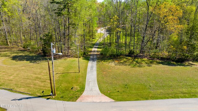 1502 Donna Dr, Lenoir City, TN 37771 - photo 44