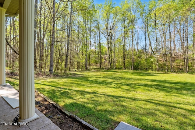 1502 Donna Dr, Lenoir City, TN 37771 - photo 8