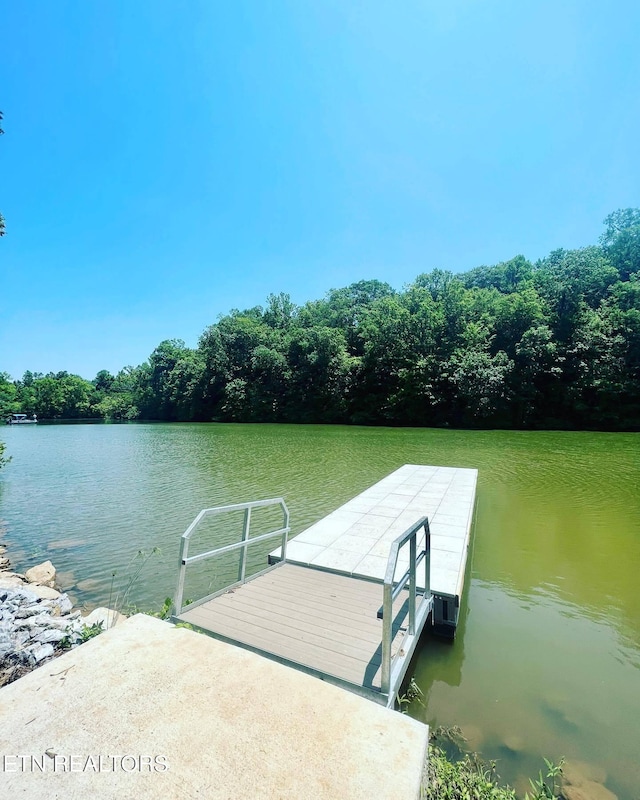 view of dock with a water view
