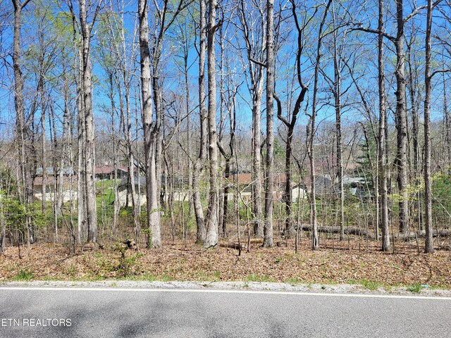 133 Ivy Brook Ln, Crossville, TN 38558 - photo 1