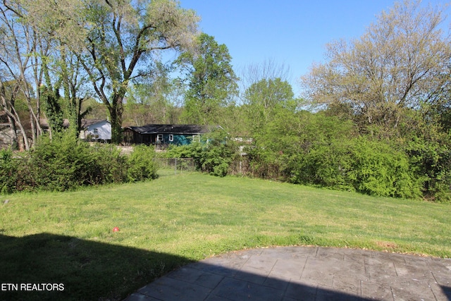 view of yard featuring a patio