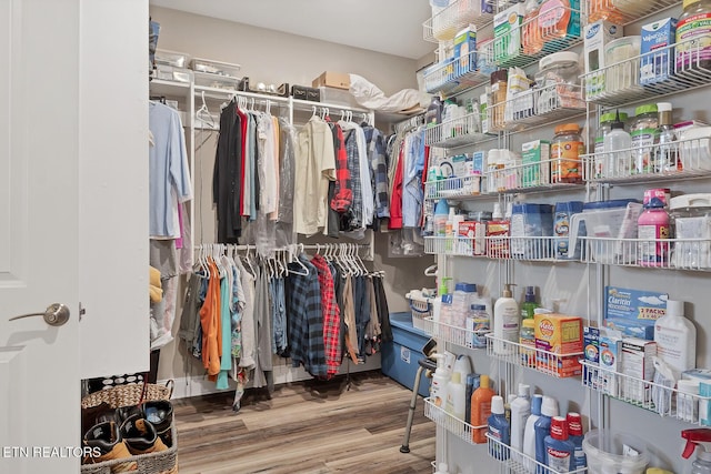 spacious closet featuring wood finished floors