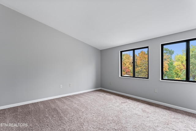 2020 Cherokee Bluff Dr, Knoxville, TN 37920 - photo 16