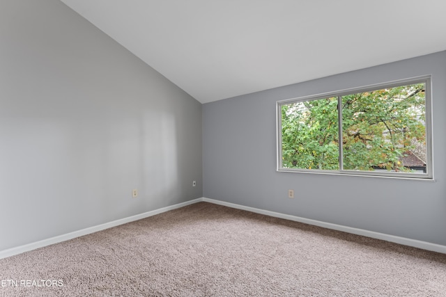 2020 Cherokee Bluff Dr, Knoxville, TN 37920 - photo 20