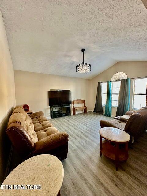 living area featuring a textured ceiling, wood finished floors, and vaulted ceiling