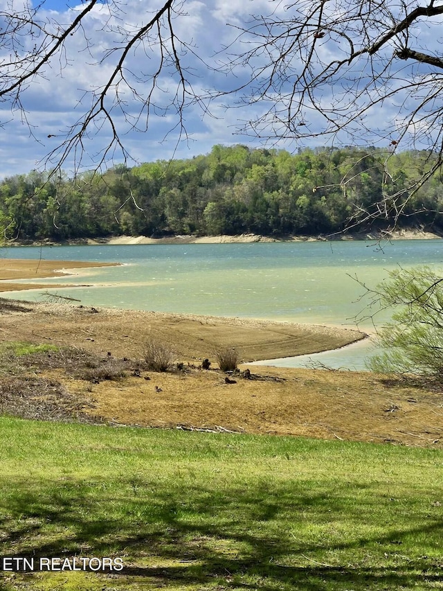 1274 Cedar Hills Rd, Dandridge, TN 37725 - surrounding community with a water view and a wooded view