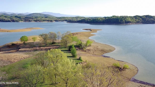 1274 Cedar Hills Rd, Dandridge, TN 37725 - water view featuring a mountainous background