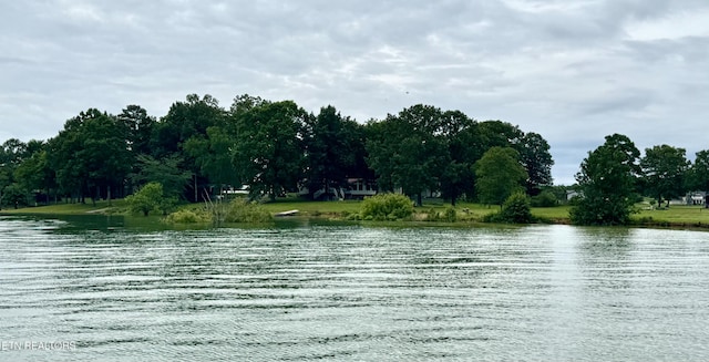 1274 Cedar Hills Rd, Dandridge, TN 37725 - water view