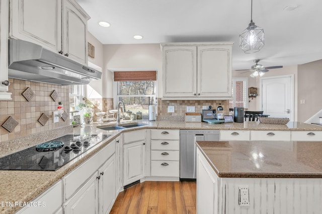 kitchen featuring dishwasher, a sink, ceiling fan, under cabinet range hood, and black electric stovetop