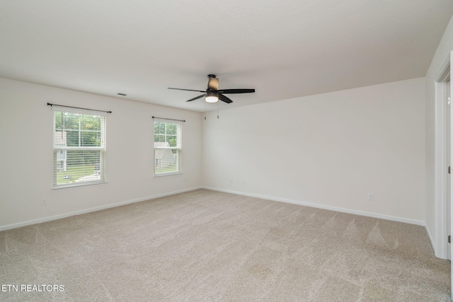 864 Greene Meadow Dr, Talbott, TN 37877 - photo 19