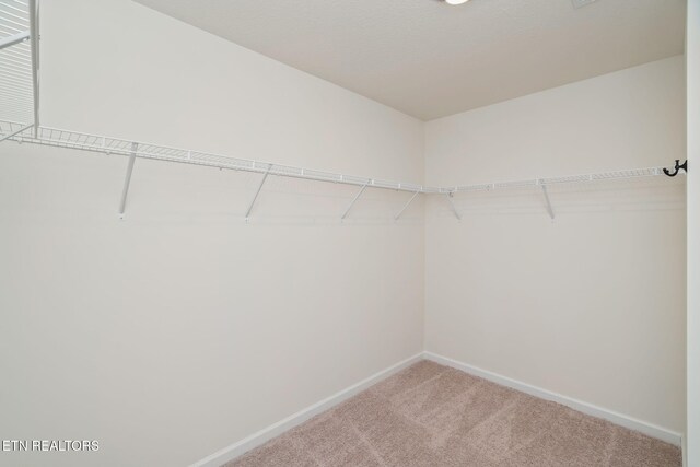 864 Greene Meadow Dr, Talbott, TN 37877 - photo 23
