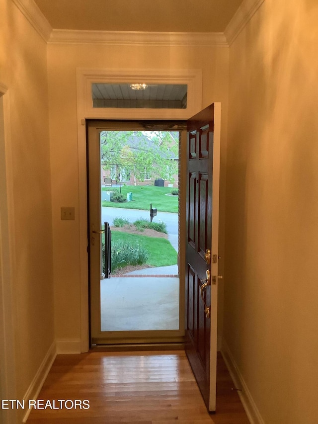 11608 San Martin Ln, Knoxville, TN 37934 - foyer with ornamental molding, light wood-style floors, and baseboards