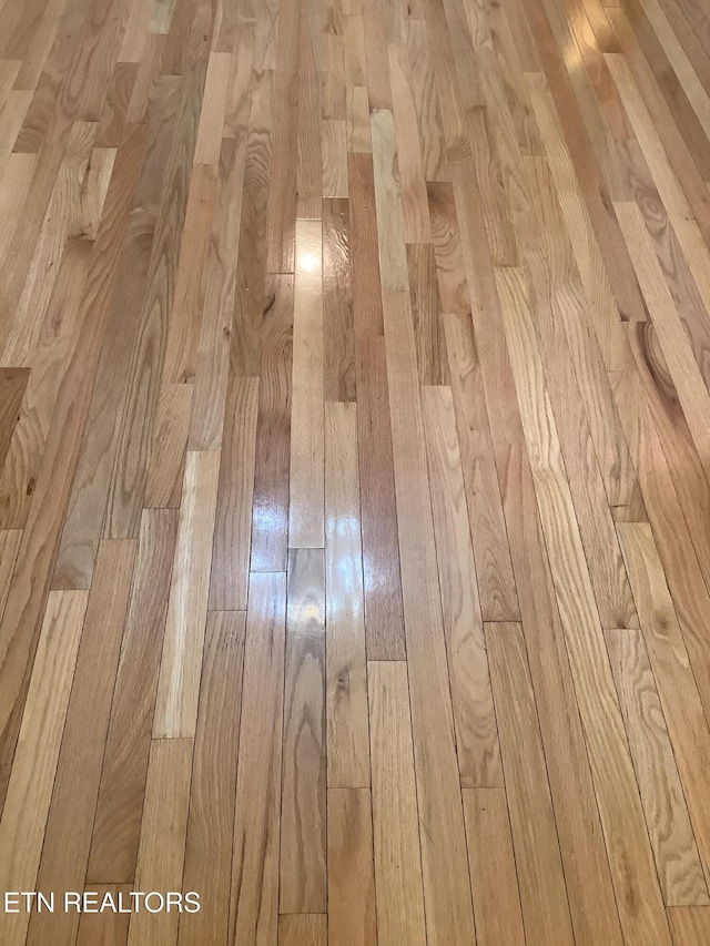 11608 San Martin Ln, Knoxville, TN 37934 - detailed view of parquet flooring