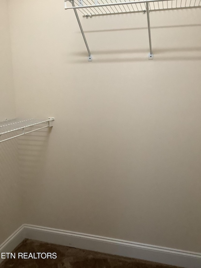 11608 San Martin Ln, Knoxville, TN 37934 - view of walk in closet