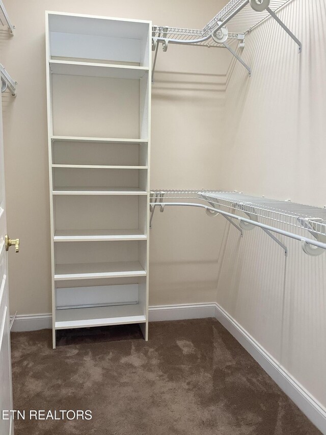 11608 San Martin Ln, Knoxville, TN 37934 - spacious closet featuring dark colored carpet