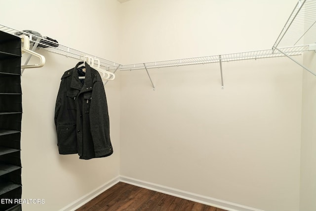 1133 Beacon Rd, Sevierville, TN 37876 - spacious closet with dark wood finished floors