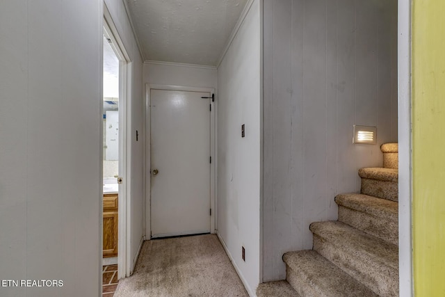 hall featuring light colored carpet, ornamental molding, and stairway