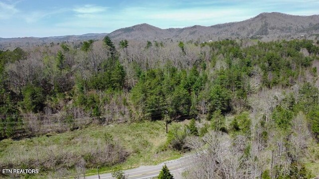 Wears Valley Rd, Townsend, TN 37882