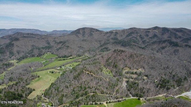 Wears Valley Rd, Townsend, TN 37882