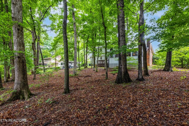 1104 Burning Tree Ln, Knoxville, TN 37923 - view of yard
