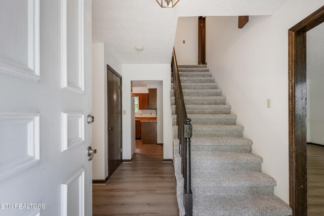 1104 Burning Tree Ln, Knoxville, TN 37923 - stairs featuring wood finished floors
