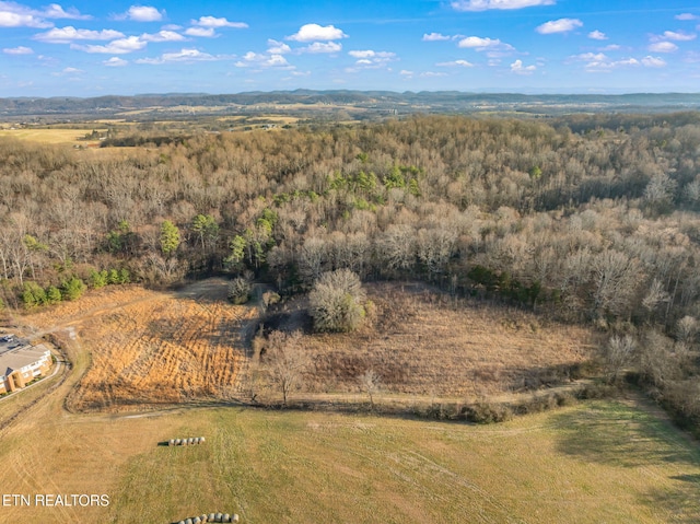 0 Telford Rd, Sweetwater, TN 37874 - photo 4