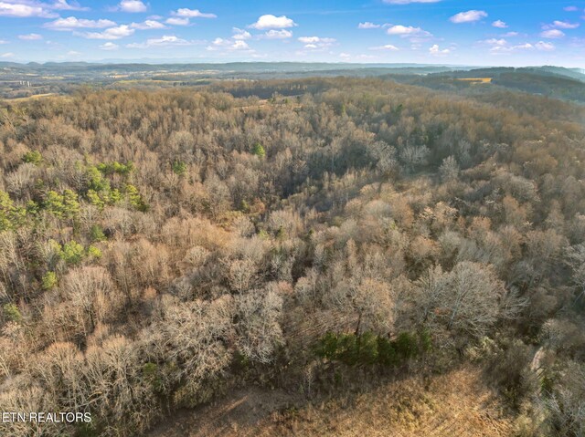0 Telford Rd, Sweetwater, TN 37874 - photo 9