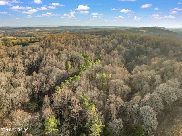 0 Telford Rd, Sweetwater, TN 37874 - photo 34