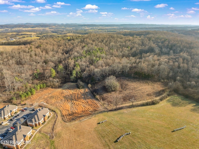 0 Telford Rd, Sweetwater, TN 37874 - photo 35