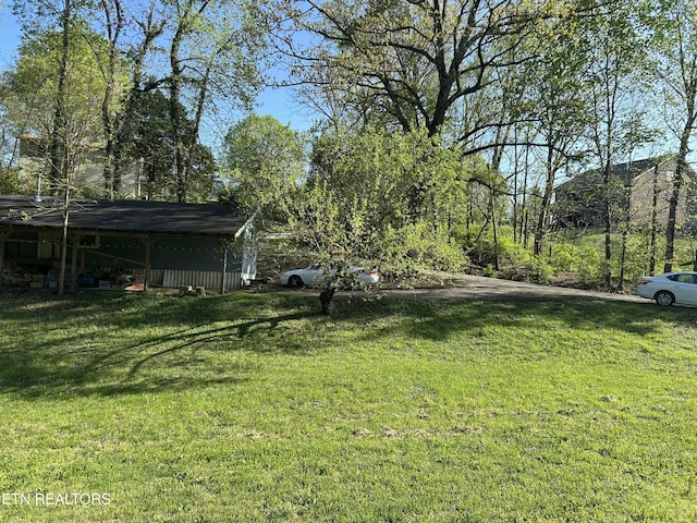 view of yard