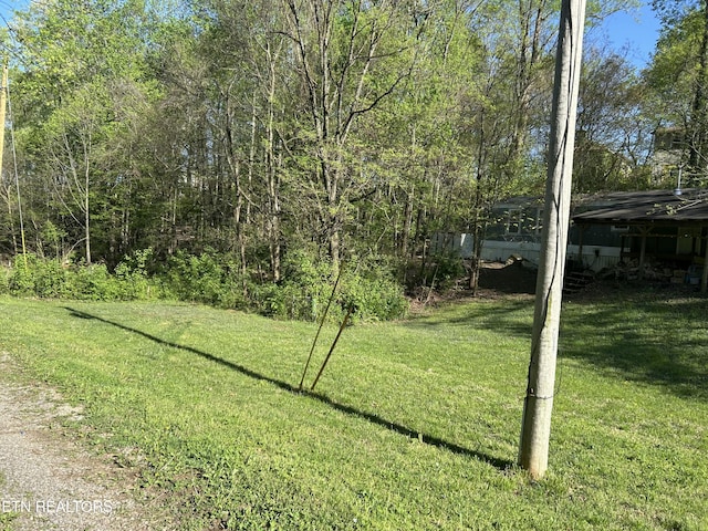 view of yard