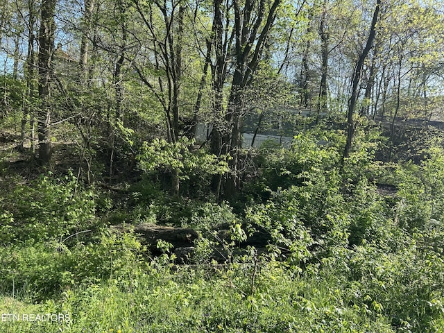 view of local wilderness with a view of trees
