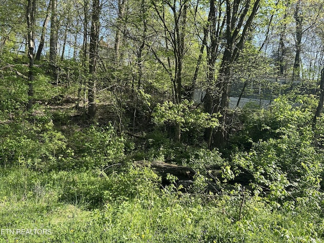 view of landscape