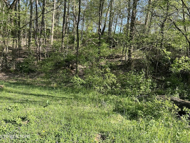 view of nature